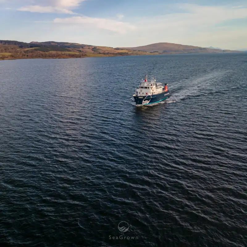 Survey vessel for sale