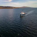 Survey vessel for sale
