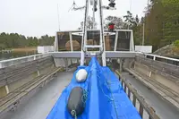 Cruise ship for sale