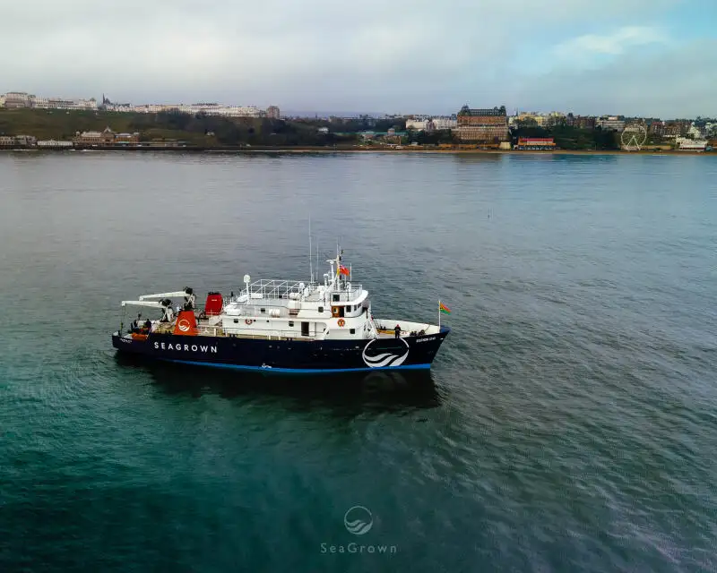 Survey vessel for sale