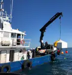 Workboats for sale