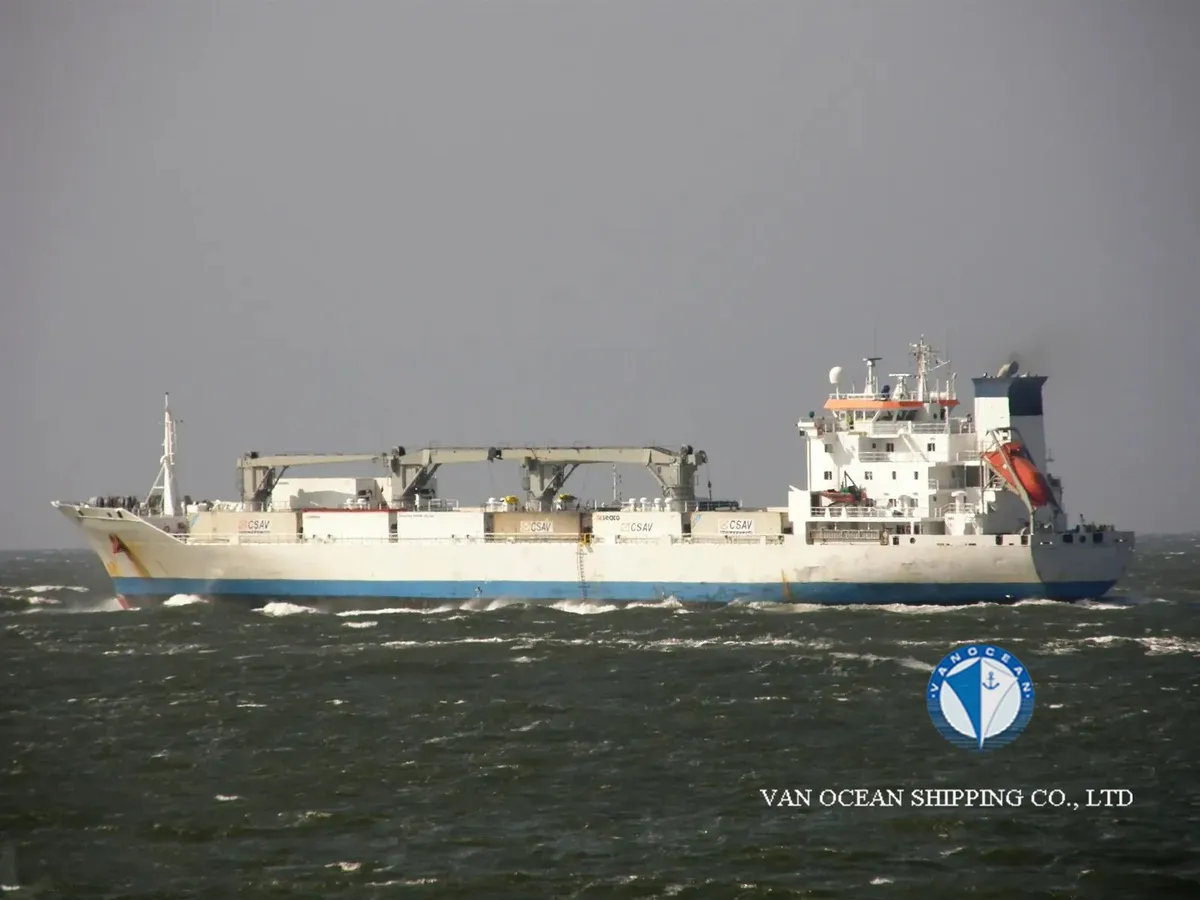 Reefer ship for sale
