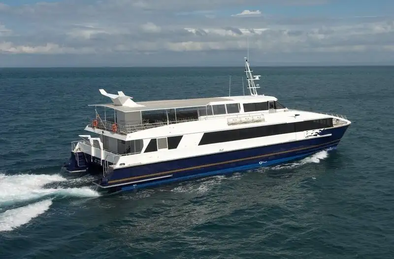 Catamaran for sale