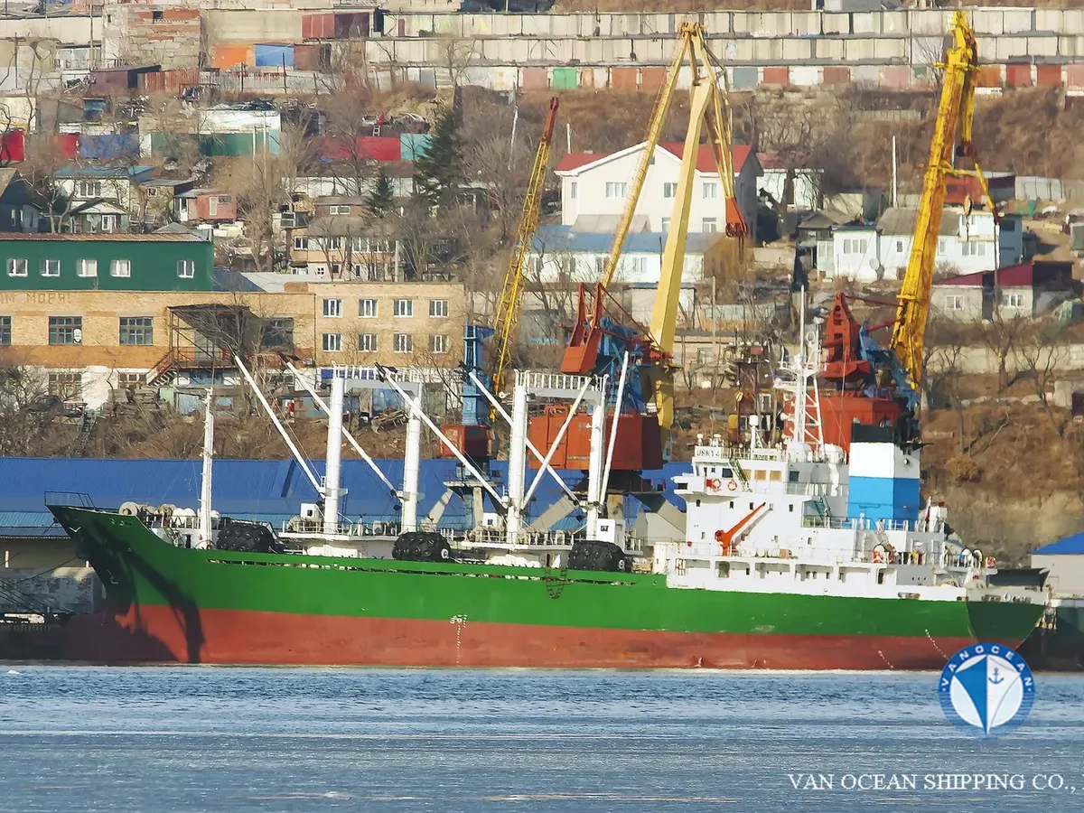 Reefer ship for sale