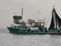 Purse seiner for sale