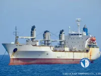 Reefer ship for sale