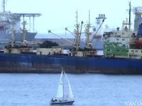 Reefer ship for sale