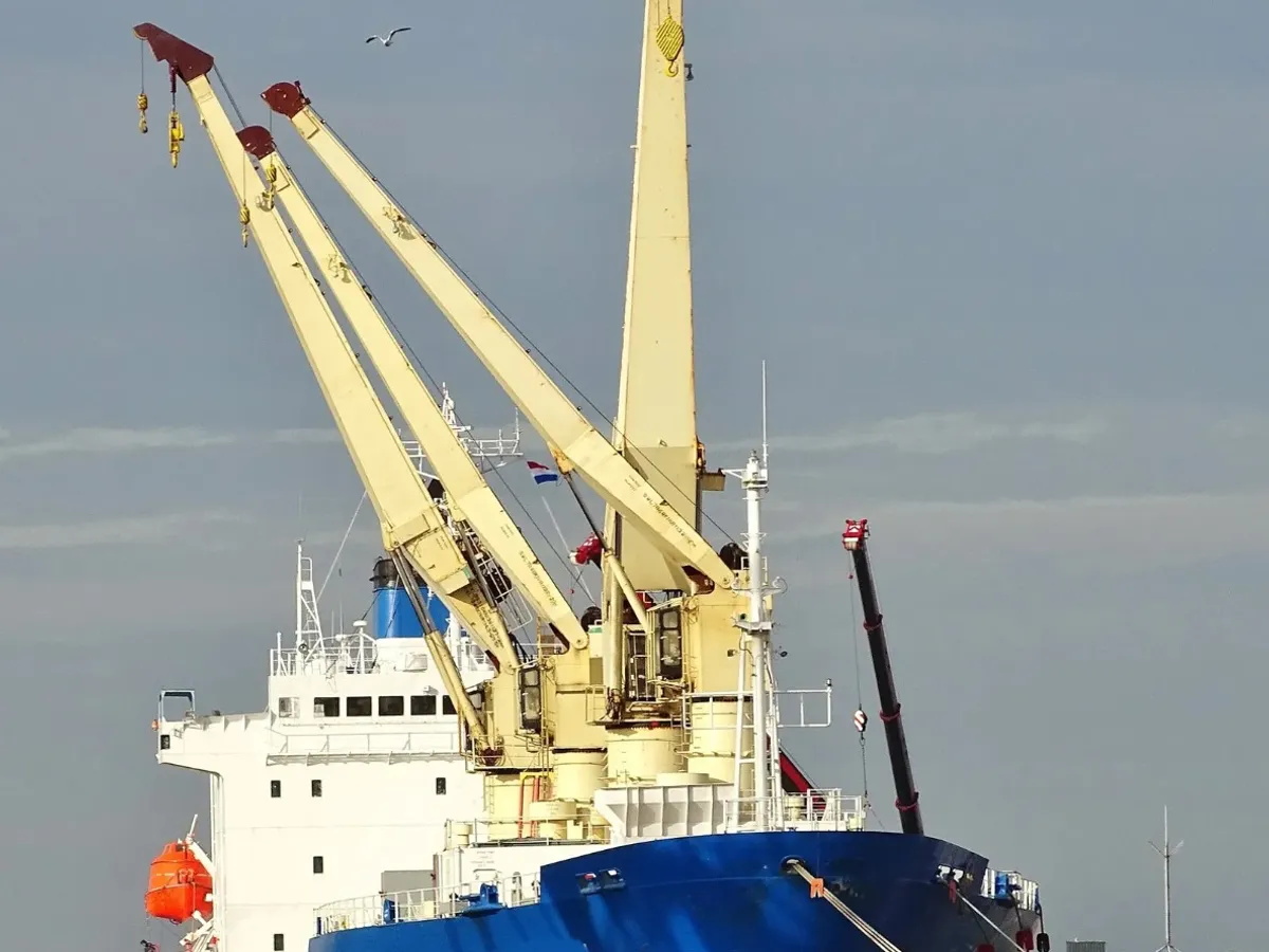 Reefer ship for sale