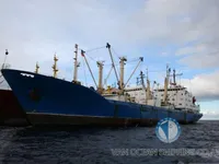 Reefer ship for sale