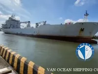 Reefer ship for sale
