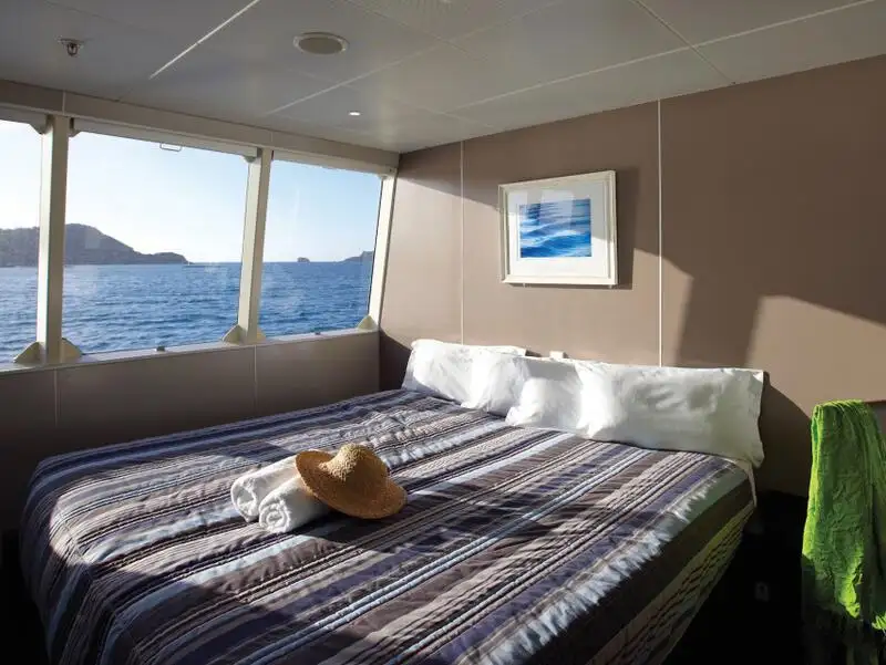 Catamaran for sale