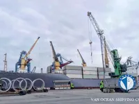 Reefer ship for sale
