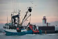 Purse seiner for sale