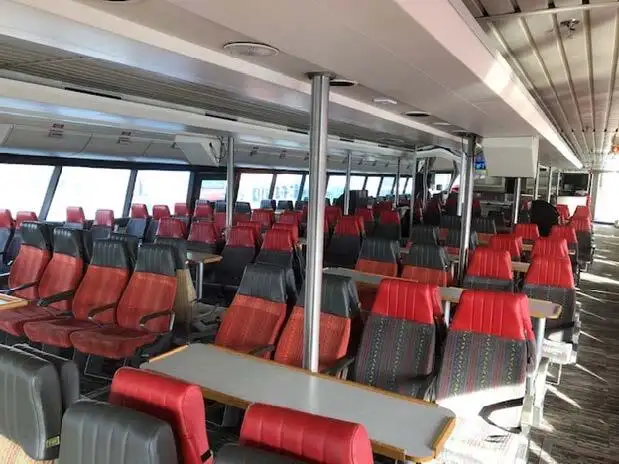 Catamaran for sale