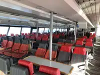 Catamaran for sale