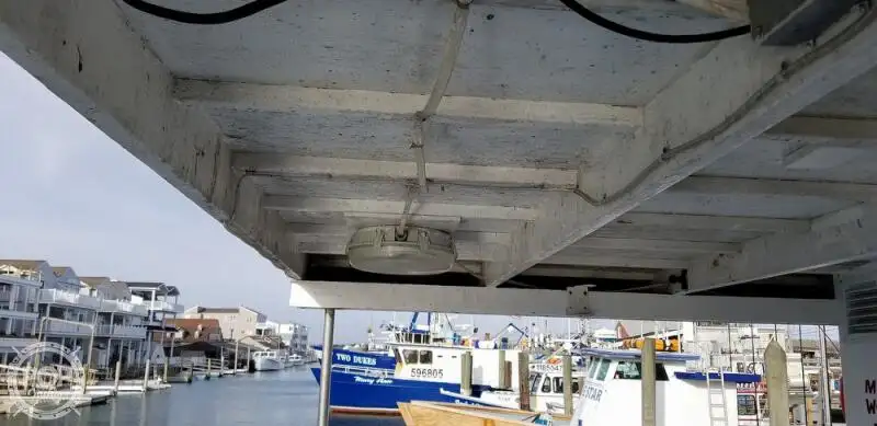 Catamaran for sale