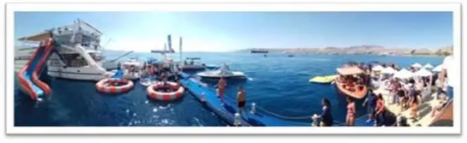 Catamaran for sale