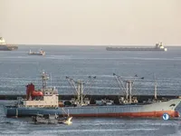 Reefer ship for sale