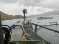 Workboats for sale