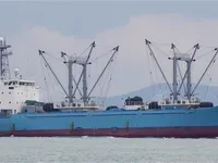 Reefer ship for sale