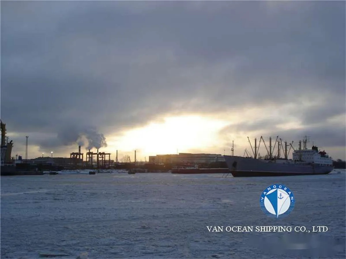 Reefer ship for sale