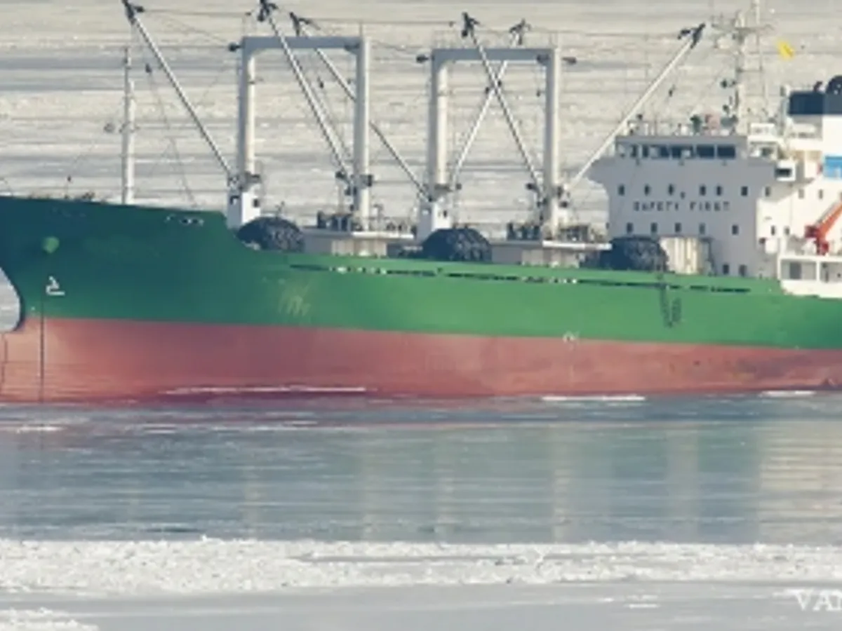 Reefer ship for sale
