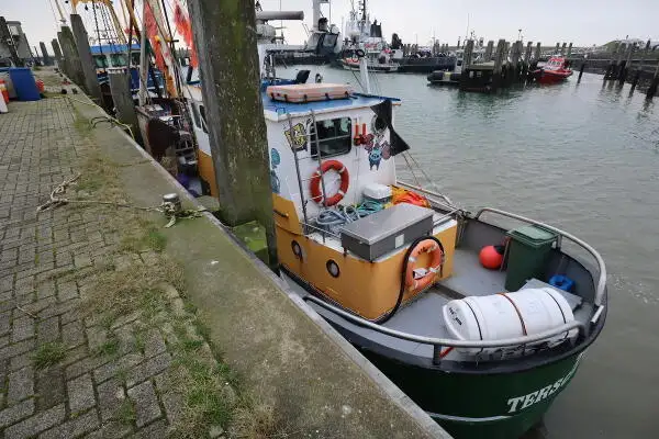 Trawler for sale