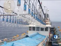 Squid jigger for sale