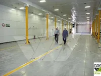 RoPax ship for sale