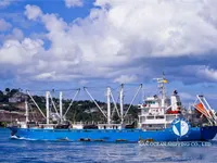 Reefer ship for sale
