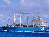 Reefer ship for sale