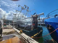 Trawler for sale