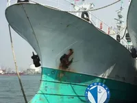Longliner for sale