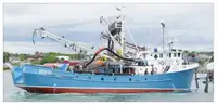 Purse seiner for sale