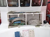 Survey vessel for sale