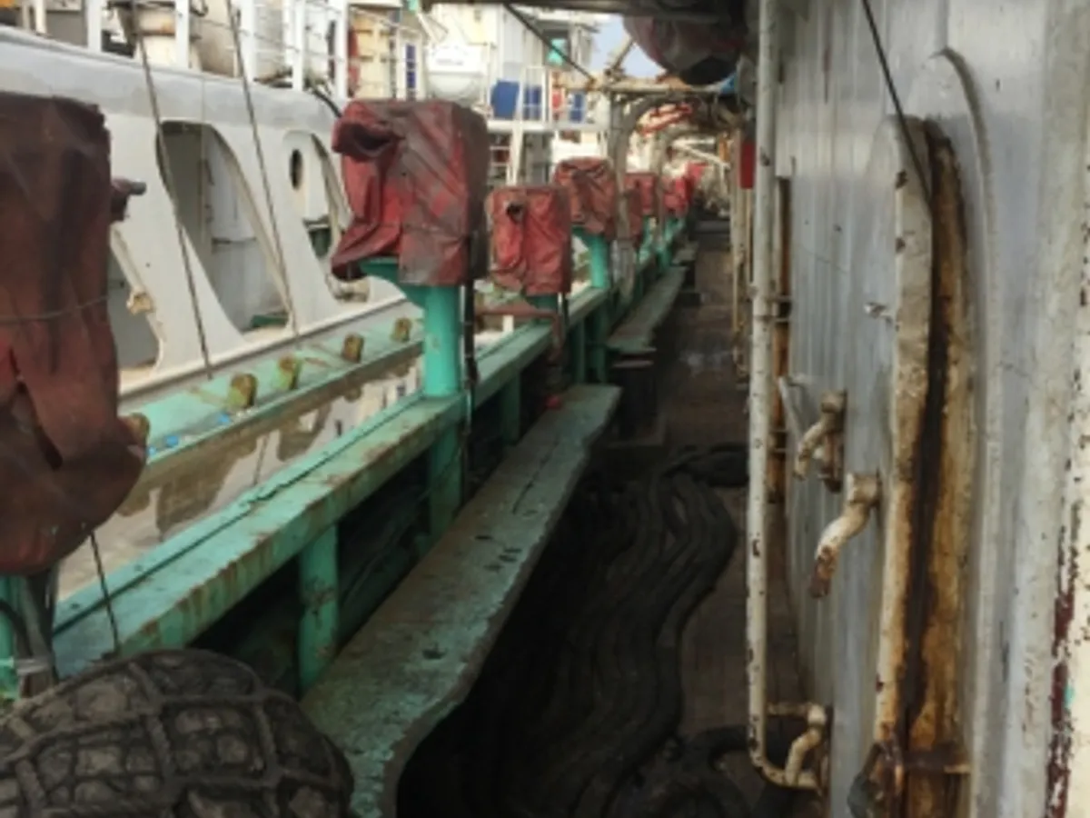 Squid jigger for sale