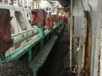 Squid jigger for sale