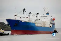 Reefer ship for sale
