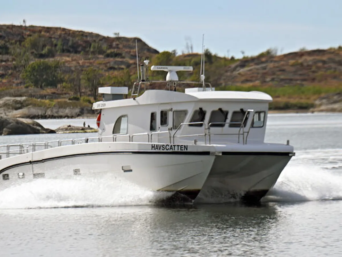 Catamaran for sale