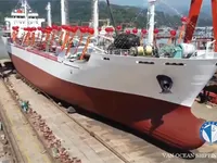 Reefer ship for sale
