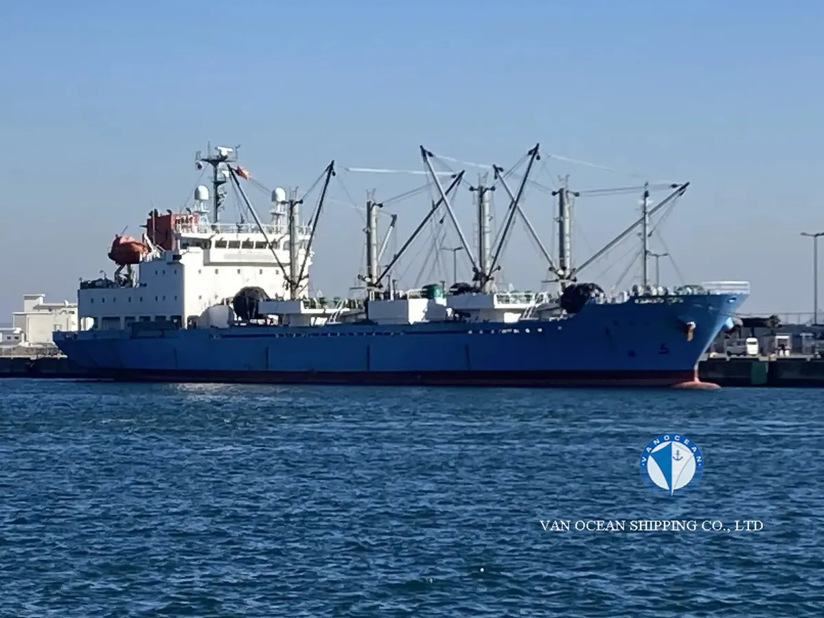 Reefer ship for sale