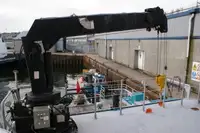 Catamaran for sale