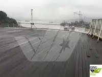 Cruise ship for sale