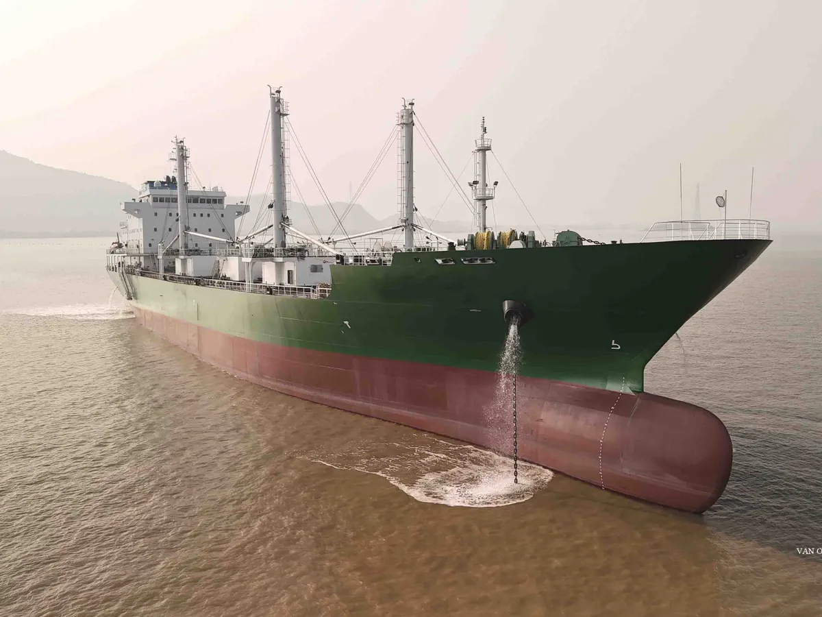 Reefer ship for sale