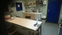 Ro-Ro ship for sale