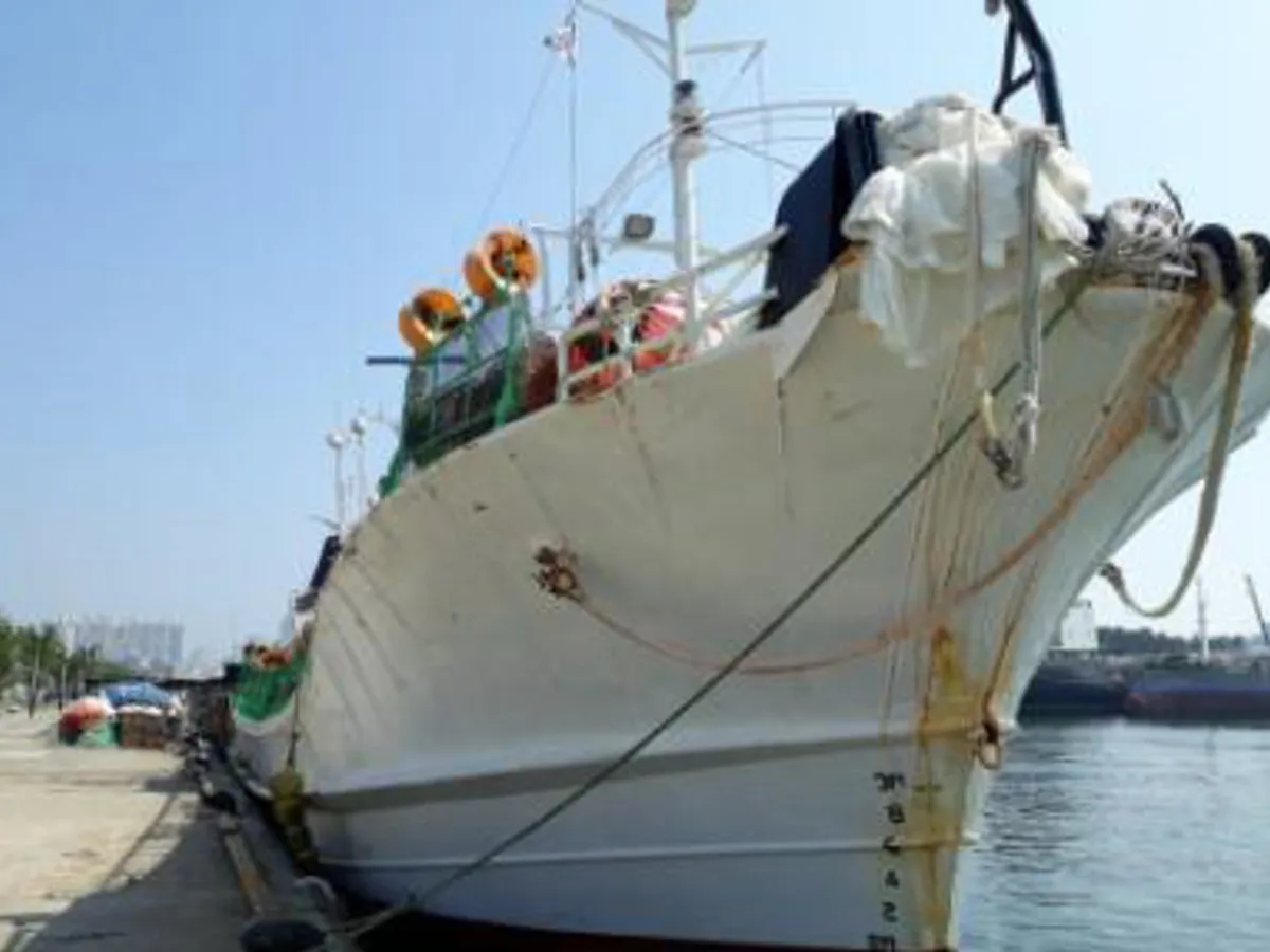 Squid jigger for sale