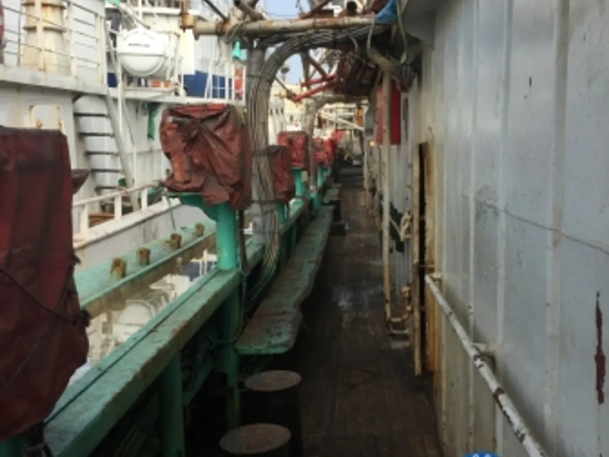 Squid jigger for sale
