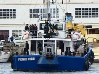 Workboats for sale