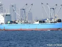 Reefer ship for sale