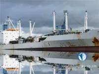 Reefer ship for sale
